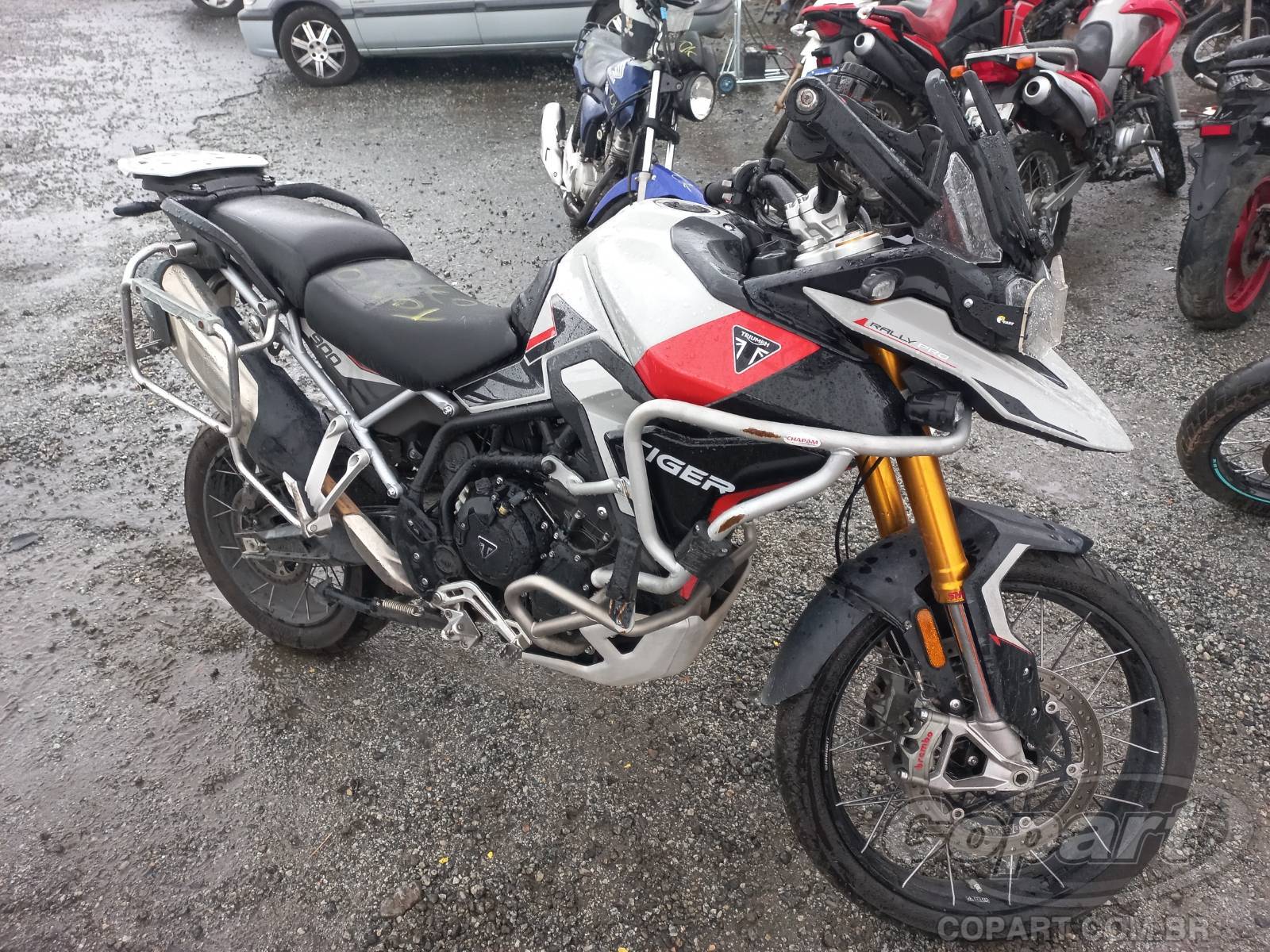 2024 TRIUMPH TIGER 900 Rally PRO Gasolina