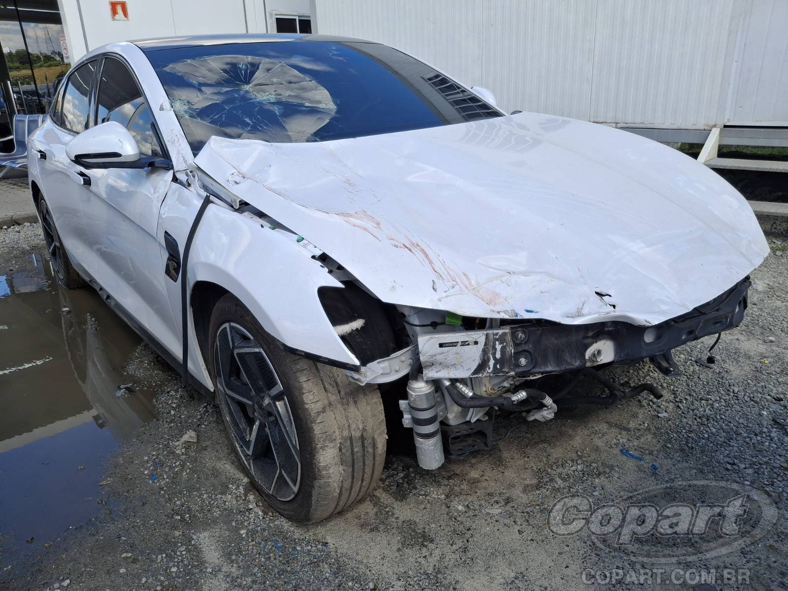 Veículo BYD Seal BYD Seal EV AWD GS 3.8S 390 kW 2025 2025 em leilão