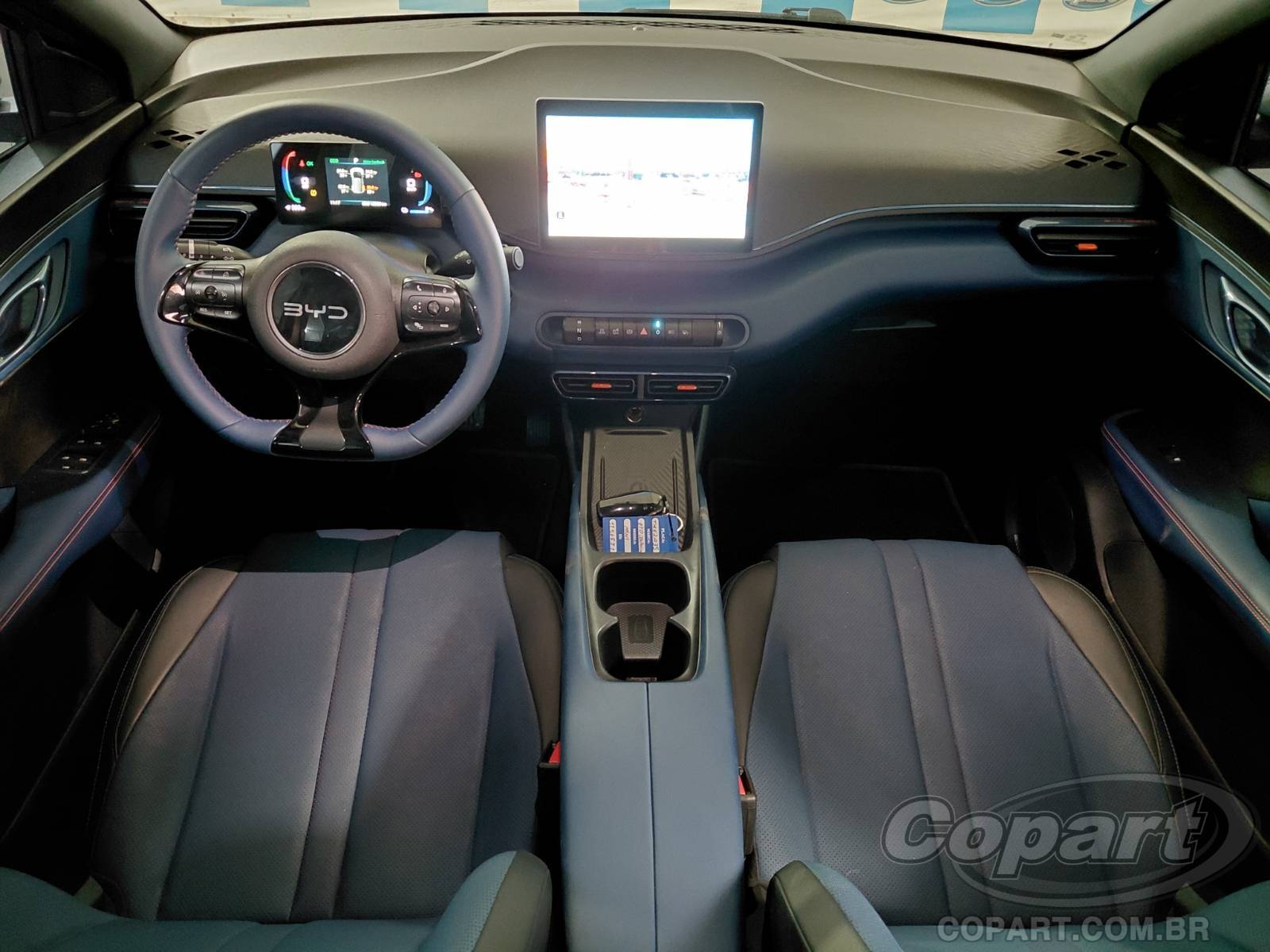 2027 BYD DOLPHIN MINI — foto 9 de 10