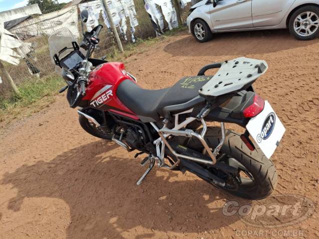 2024 TRIUMPH TIGER 
