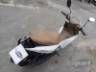 2026 HONDA BIZ 125 