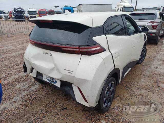 2026 BYD DOLPHIN MINI 