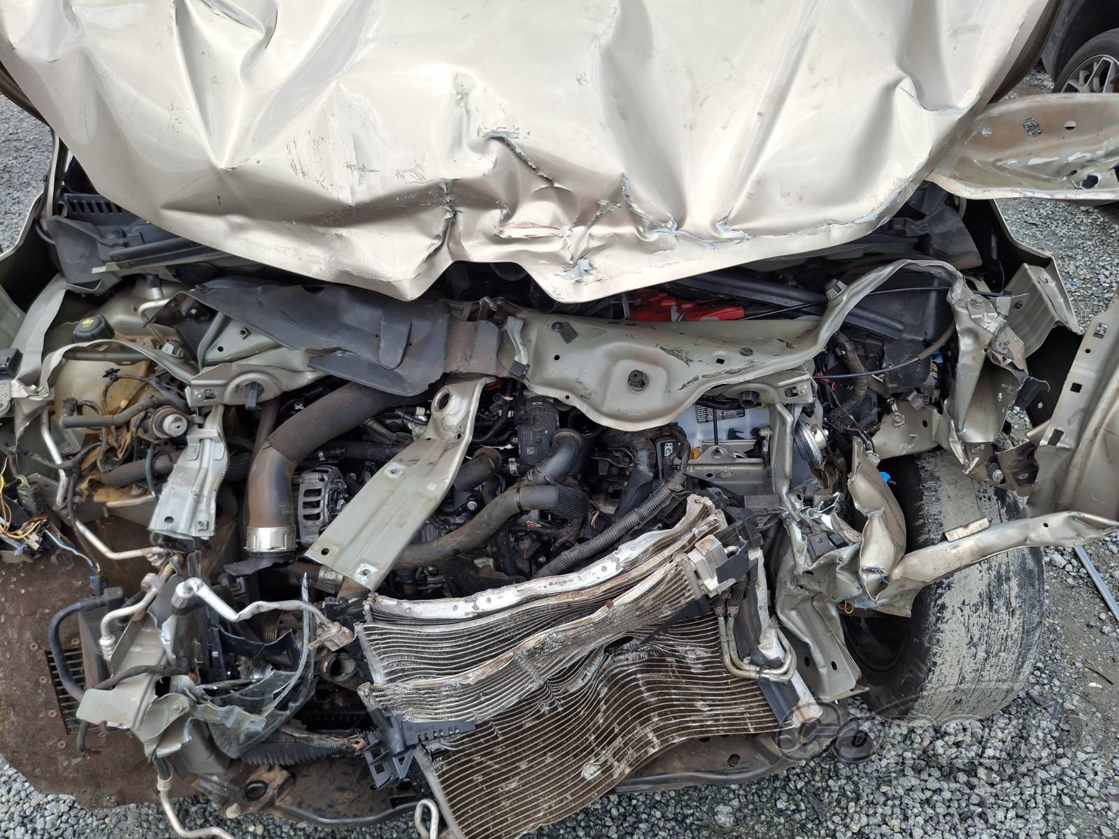 Foto 7 de 13: 2022 RENAULT CAPTUR