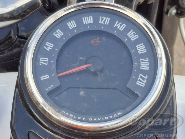 2020 HARLEY-DAVIDSON SOFTAIL 