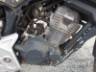 2024 HONDA CB 300F 