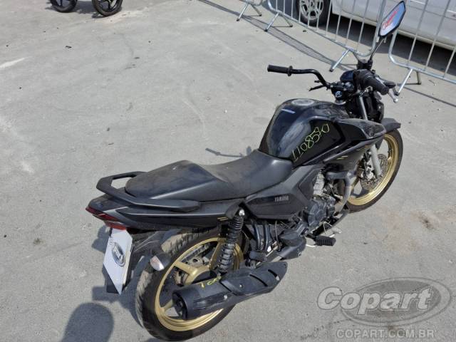2025 YAMAHA FACTOR 
