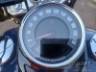 2019 HARLEY-DAVIDSON SOFTAIL 