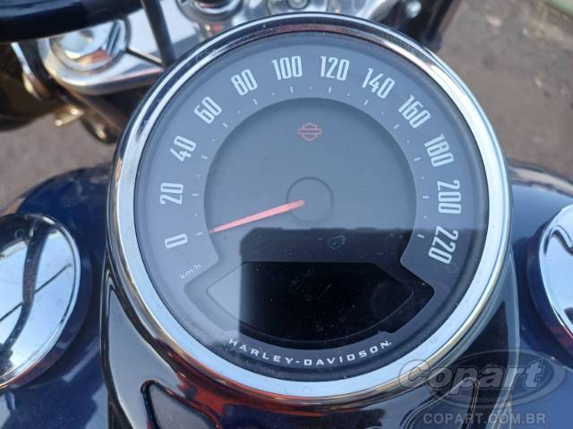 2019 HARLEY-DAVIDSON SOFTAIL 