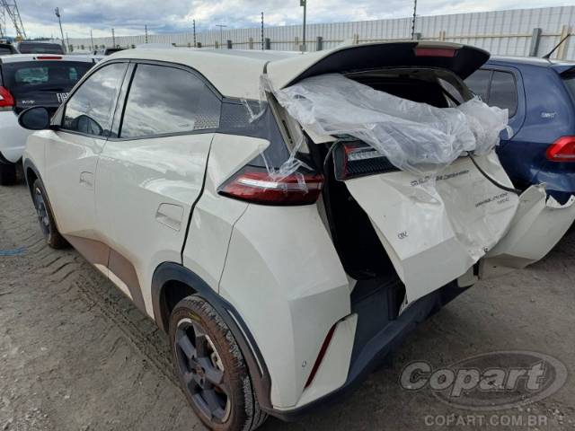 2025 BYD DOLPHIN MINI 