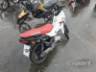 2025 HONDA POP 