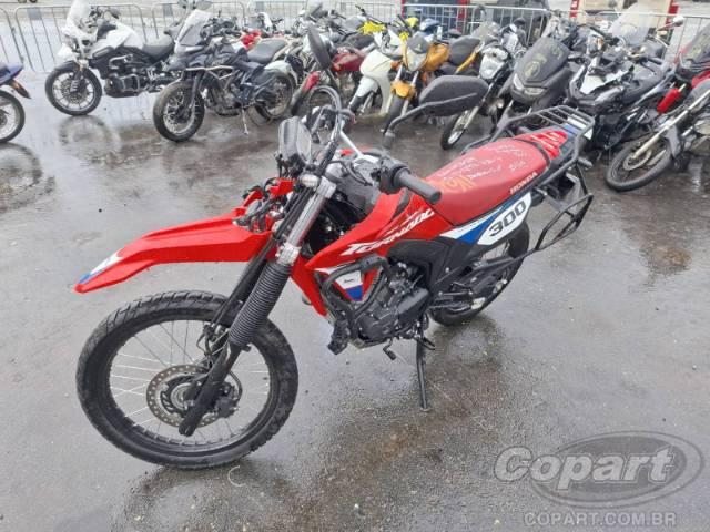 2026 HONDA XR 300L 