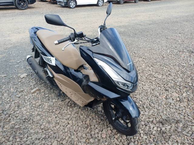 2025 HONDA PCX 