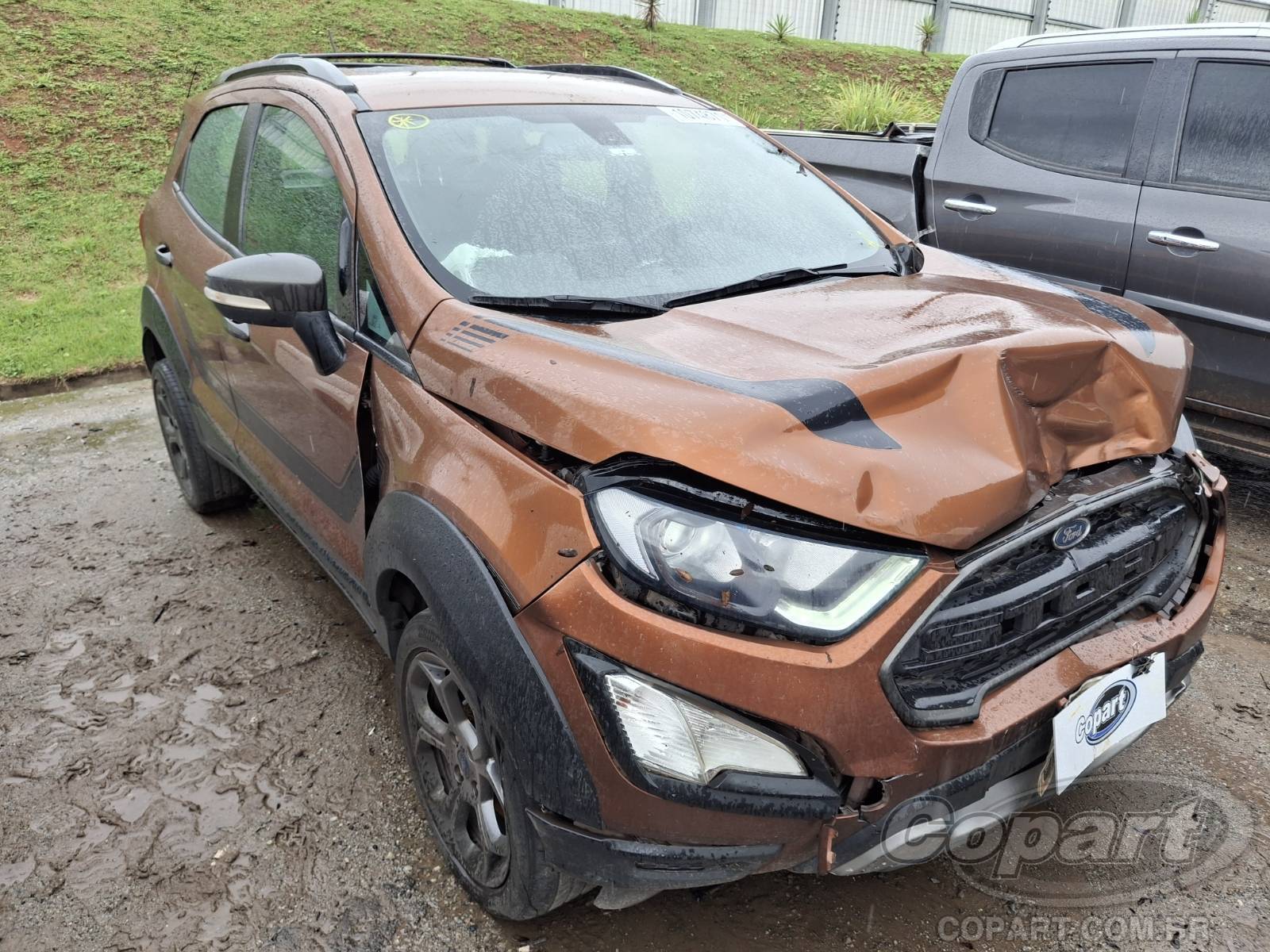Veículo Ford Ecosport FORD EcoSport Storm 4WD 2.0 16V 2019 em leilão