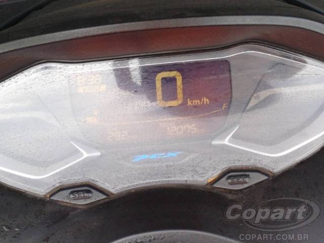 2024 HONDA PCX 
