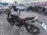 2025 TRIUMPH SCRAMBLER 