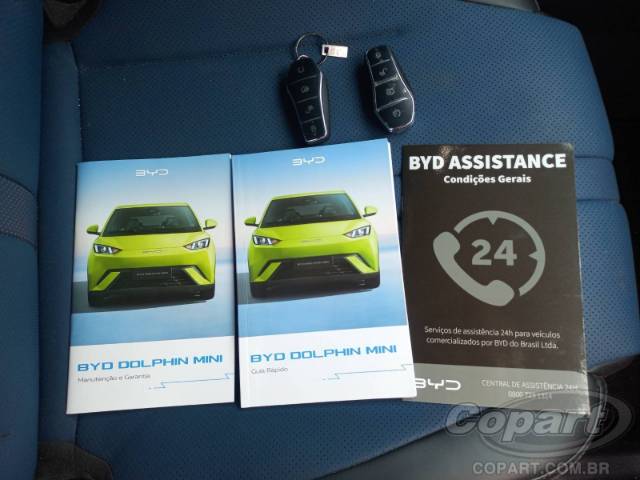 2025 BYD DOLPHIN MINI 