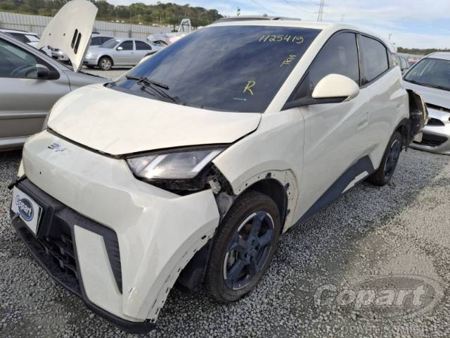 2025 BYD DOLPHIN MINI 