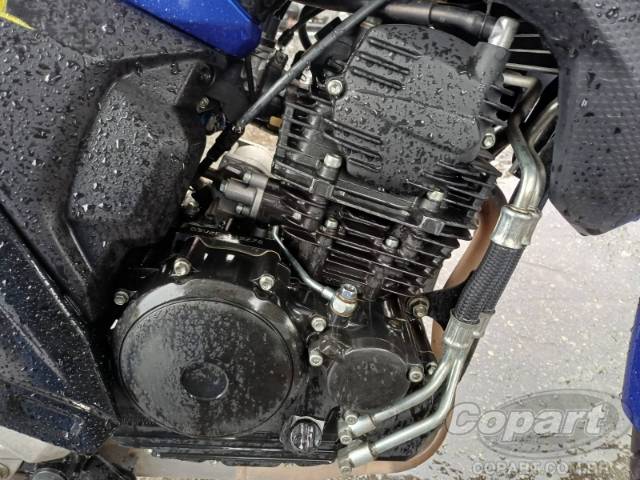 2025 YAMAHA FZ25 FAZER 