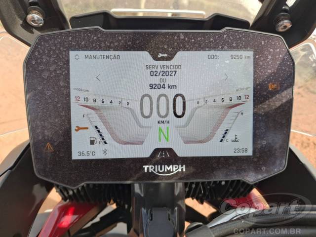 2024 TRIUMPH TIGER 