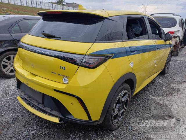 2025 BYD DOLPHIN 