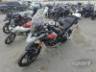 2025 TRIUMPH TIGER 