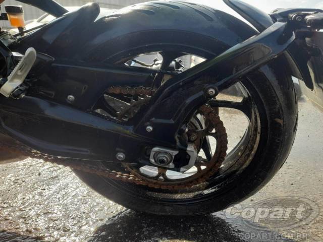 2024 TRIUMPH TRIDENT 