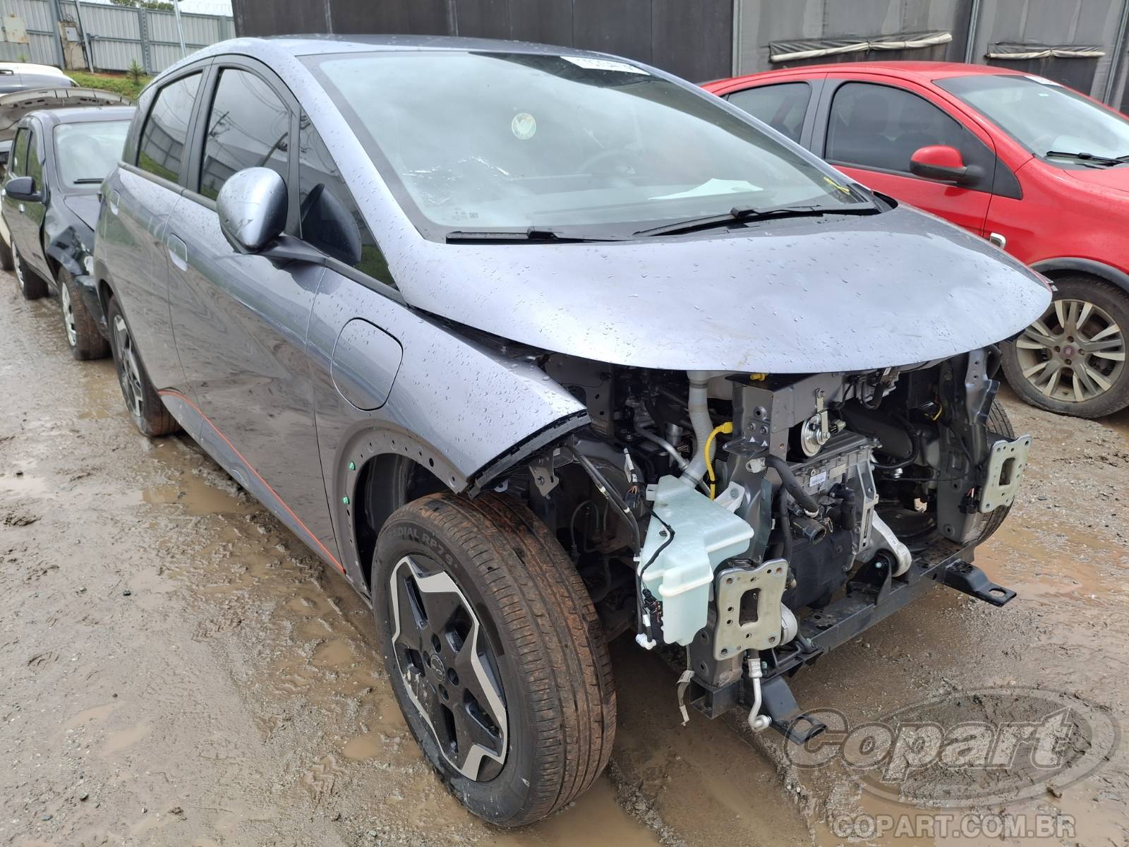 Veículo BYD Dolphin BYD Dolphin EV GS 70 kW 2026 2026 em leilão