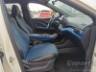 2026 BYD DOLPHIN MINI 
