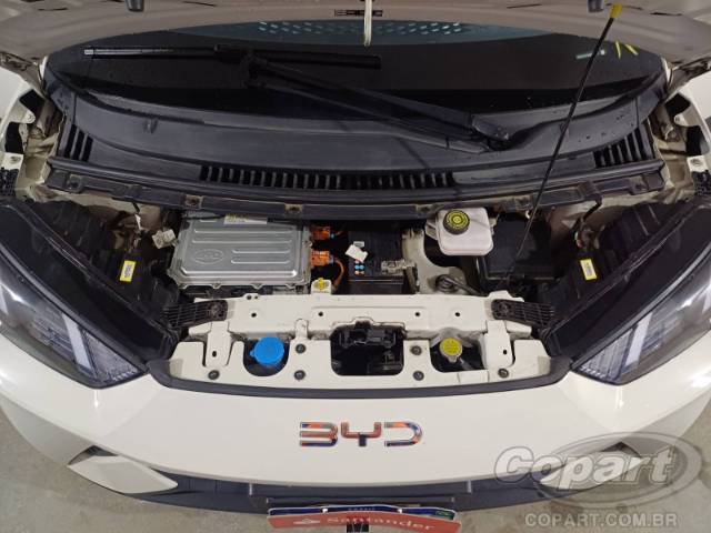 2025 BYD DOLPHIN MINI 