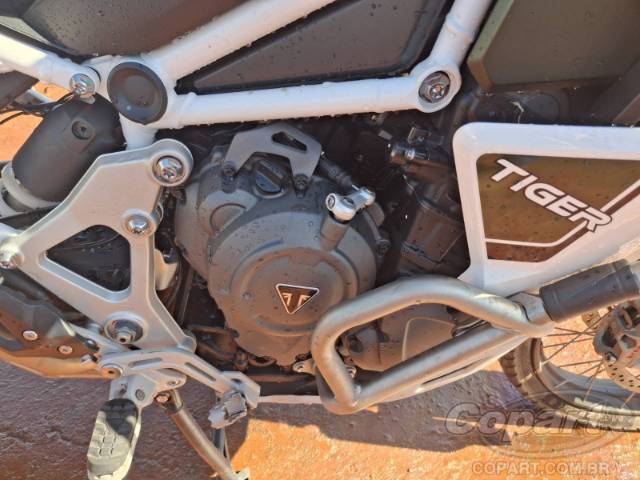 2024 TRIUMPH TIGER 