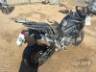 2026 TRIUMPH TIGER 