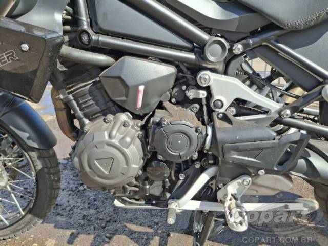 2024 TRIUMPH TIGER 