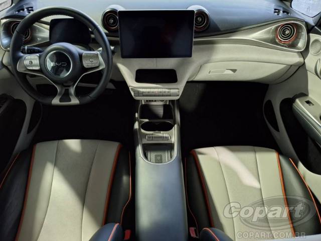 2026 BYD DOLPHIN 