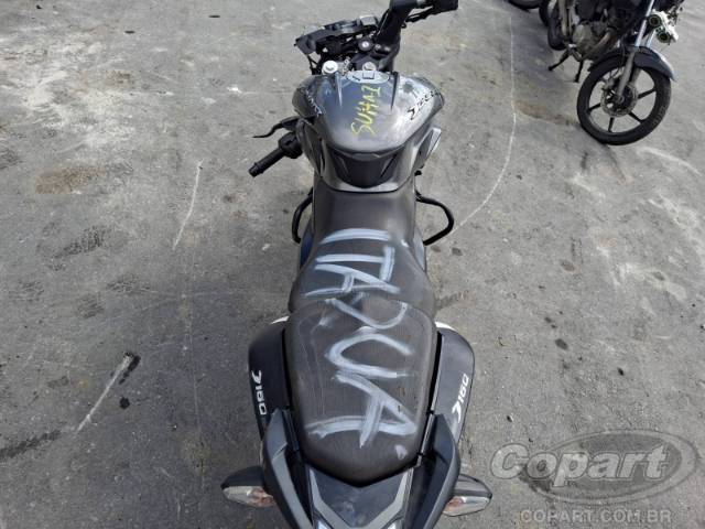2024 BAJAJ DOMINAR 