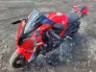 2025 BMW S 1000 