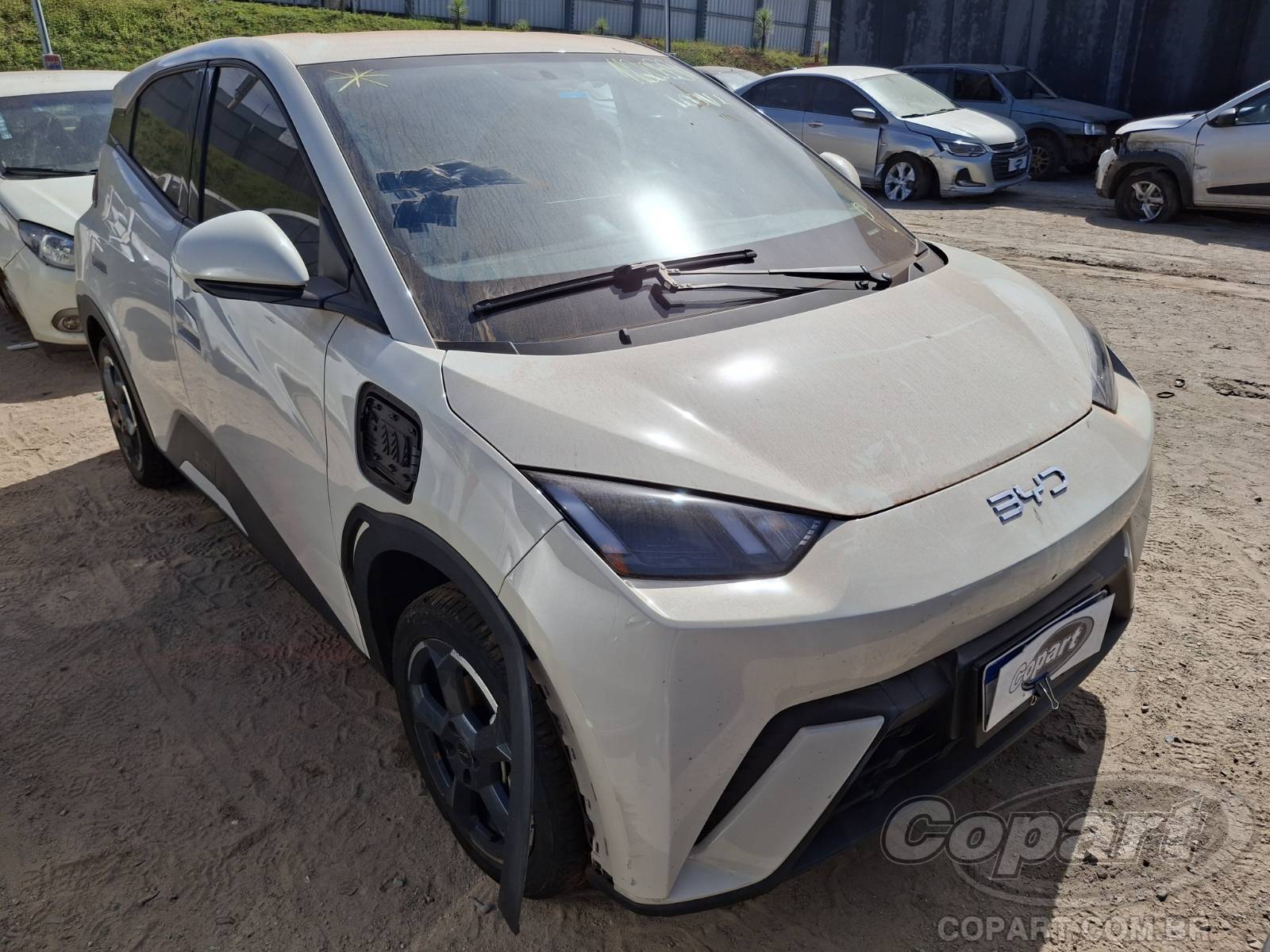 BYD Dolphin Mini
