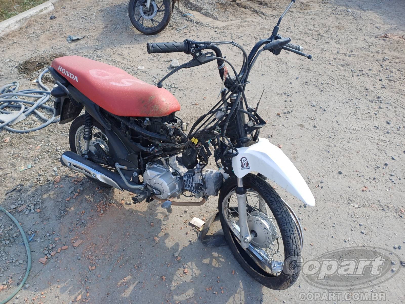HONDA POP 2024