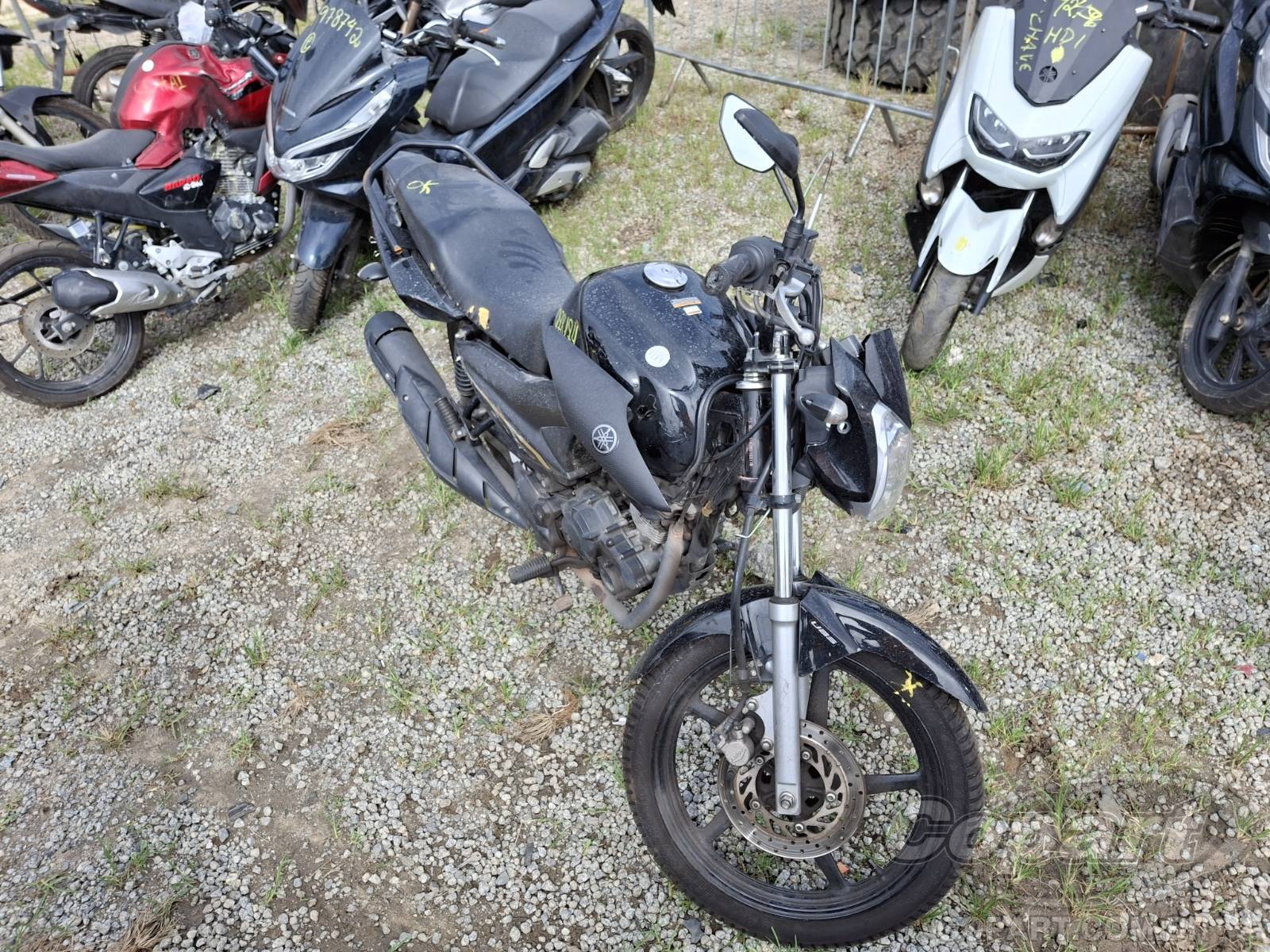 Veículo YAMAHA YBR 150 FACTOR YAMAHA YBR 150 FACTOR 2024 2024 em leilão
