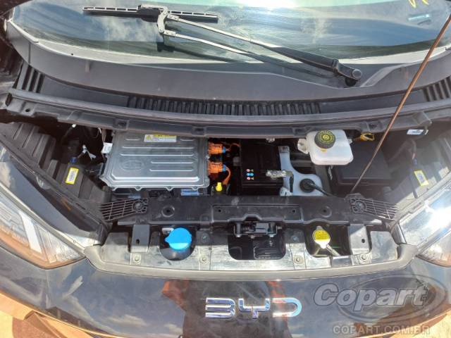 2025 BYD DOLPHIN MINI 