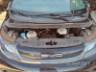 2024 BYD DOLPHIN 