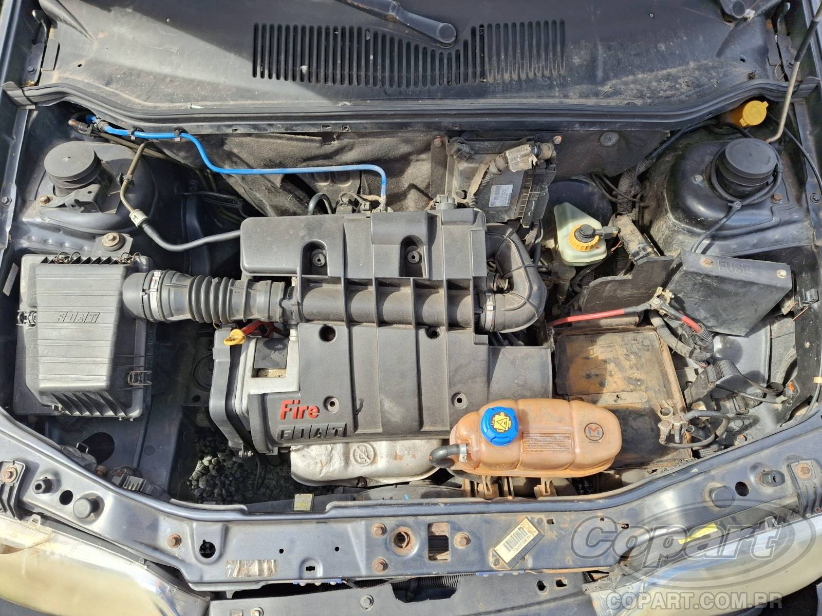 Foto 7 de 10: 2004 FIAT PALIO