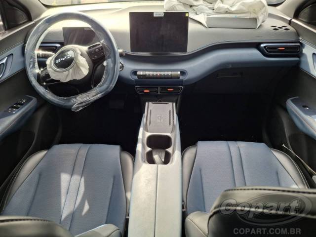 2025 BYD DOLPHIN MINI 