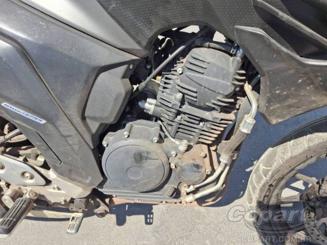 2024 YAMAHA FZ25 FAZER 