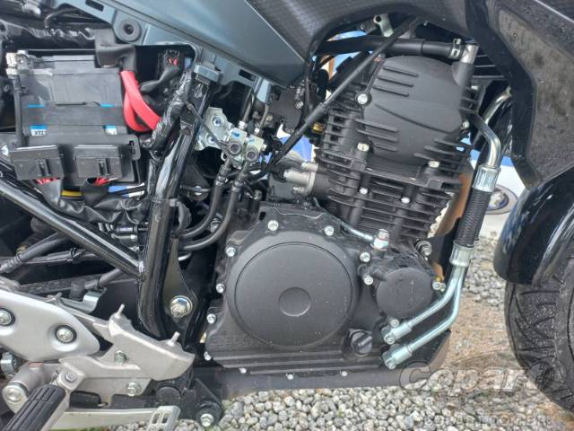 2024 YAMAHA FZ25 FAZER 