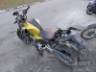 2024 HONDA CB 300F 