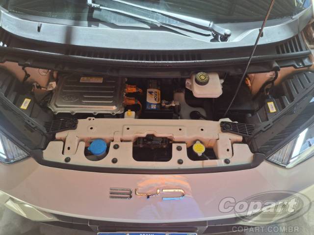 2024 BYD DOLPHIN MINI 