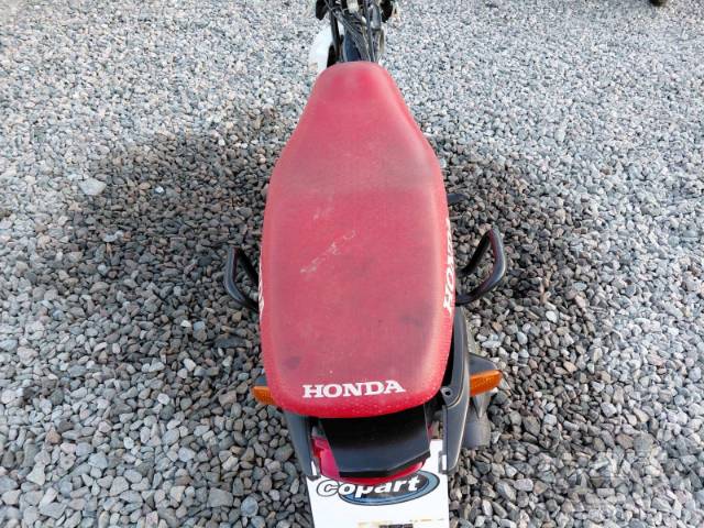2025 HONDA POP 