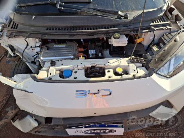 2025 BYD DOLPHIN MINI 