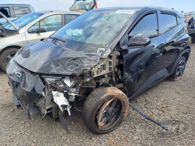 2025 BYD DOLPHIN MINI 