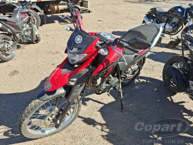 2023 YAMAHA XTZ 250 